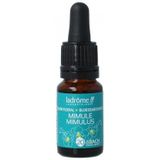 Ladrome - Mimulus bio - Kruidenpreparaat - Alcohol 40% vol