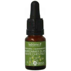 La Drôme - White Chestnut - Biologisch Kruidenpreparaat - 10 ml