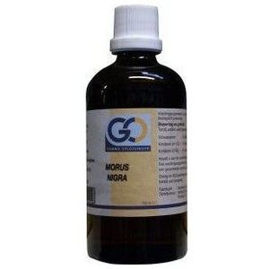 GO Morus nigra 100 ml