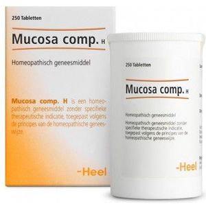 Heel Mucosa compositum H 250 tabletten