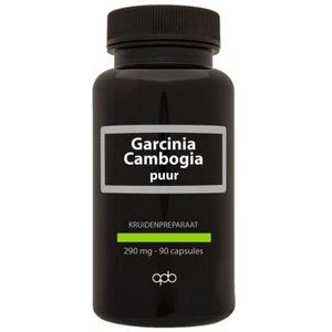 Apb Holland Garcinia cambogia 290 mg puur 90 vcaps