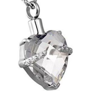 RVS ashanger hart steen helder