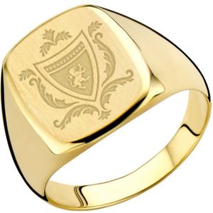 Rechthoekige gouden zegelring met familiewapen Names4Ever