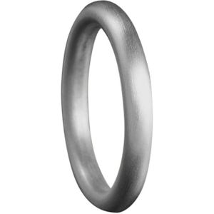 Zilveren ronde ring met gesloten askamer
