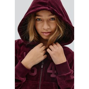 Y velour zip hood