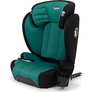 Baninni Zola - Autostoel voor kinderen van 100-150cm - i-Size - isofix bevestiging - Groen