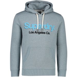 Superdry Hoodie met Printopdruk Lichtblauw