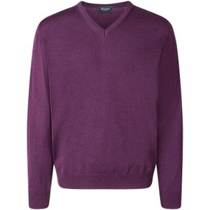 Maerz trui v-hals violet effen wol
