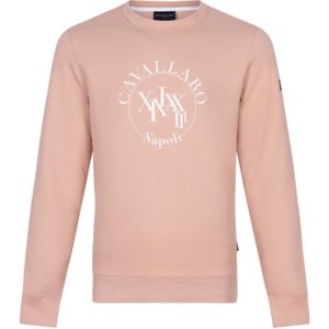 Cavallaro sweater Canto ronde hals roze geprint