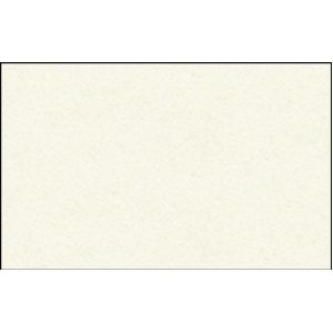 Briefkarten DINlang VE=10 Blatt hellgrau
