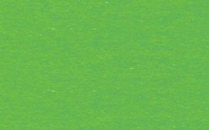 Tonpapier 130g qm 50x70cm grasgr&#252;n