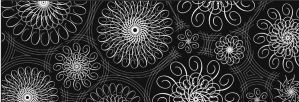 Transparentpapier Rolle 115g qm 50x61cm Black &amp; White Spiralornamente 2