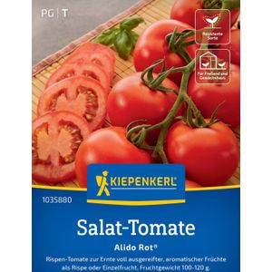 Salat-Tomate Alido Rot®, F1, Rispen-Tomate - resistent - Freiland u Gew&#228;chshaus - 100-120 g