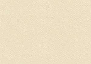 Universalkarton 220g qm 50x70cm chamois