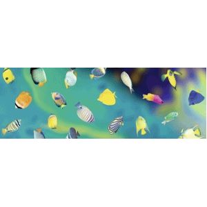Transparentpapier 115g qm 50x61cm Maritim Fische