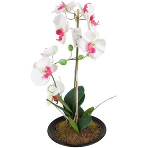 K&#252;nstliche Orchidee 2 Rispen Wei&#223; Pink 50cm Kunstblume Phalaenopsis Kunstpflanze