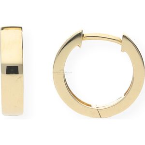 JuwelmaLux Creolen 333 Gold JL10-06-0059