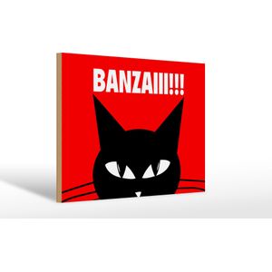 Holzschild Spruch 30x20cm Katze Banzaiii