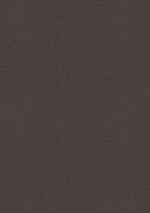 Universalkarton 220g qm A4 schwarz