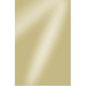 Spiegelkarton A4 270g qm Richgold