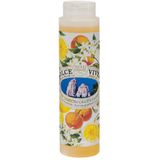 Nesti Dante Dolce Vivere: Capri showergel 300 ml