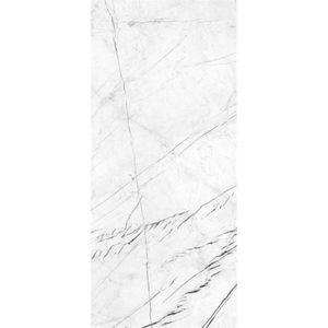 Vloer- en Wandtegel Energieker Ekxtreme Marmerlook 120x280 cm Mat Marquina White (Prijs per Stuk)