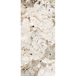 Vloertegel Douglas & Jones 120x280 cm Magnum Glans Tundra  Prijs Per Tegel