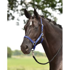 Busse Halfter HANSA