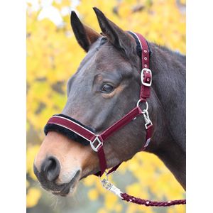 Busse Halfter IDEAL