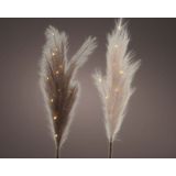 Kerstverlichting - Micro Led Warm White Plume Fabric Bo Indoor - Willekeurige Verrassing Uit 2 Verschillende - H70 Cm