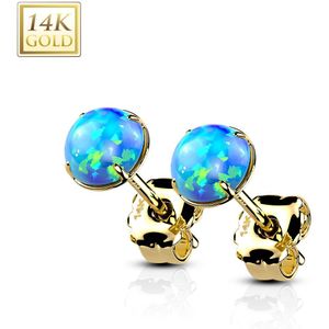 Paar Massief Gouden Oorbellen met Opaal Steen - 5 mm - Geel Goud - Opaal Blauw