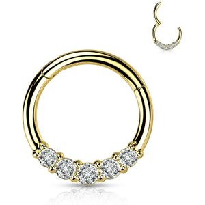 Stalen Segmentring met Lijn van Vier Front-facing Gekleurde Steentjes - Goud - 10 mm - Helder