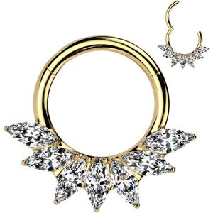 Titanium Segment Ring met Front Facing Waaier van 7 Markies Geslepen Steentjes - Goud - 10 mm