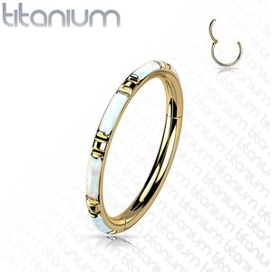 Gekleurde Titanium Segmentring Belegd met Vlakken Opaal Steen - Goud - 8 mm - Wit