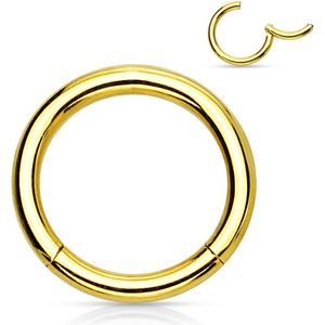 Gekleurde .925 Sterling Silver Segmentring met Vast Segment - 1.0 mm - 8 mm - Goud