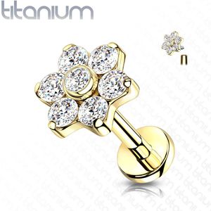 Intern Geschroefde Titanium Labret met Bladeren en Grote met Kristal-belegde Bloem Top