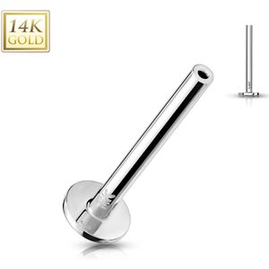 14kt. Gouden Threadless Flat Back Labret Staafje - 1.2 mm - 8 mm - Wit Goud