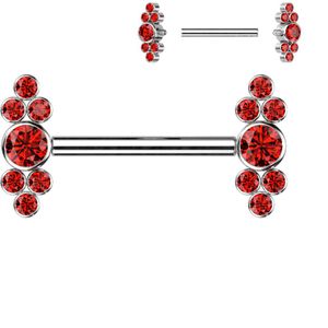 Titainum Tepelpiercing met Cluster van Bezel set Kristallen - Rood