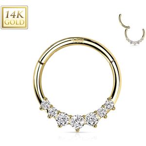 Massief Gouden Segmentring met scharnier en 7 Opaal Stenen