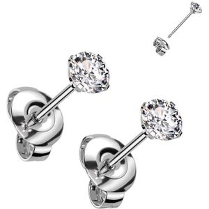Setje Titanium Oorknopjes met Claw Set Kristal - Zilver - 3 mm - Helder