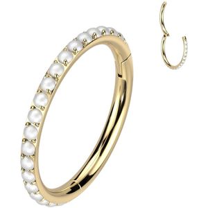 Titanium Segment Ring met parels rondom – 8 mm – Goud