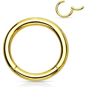Titanium plated segment ring - 1.6 mm - 8 mm - goud