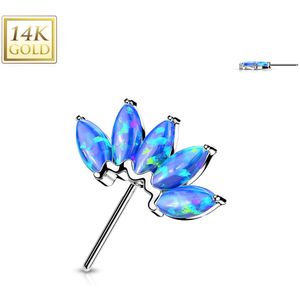 14kt. Gouden Front-facing Threadless Top met Gekleurde Marquise Opaal Steentjes - Wit Goud - Opaal Blauw