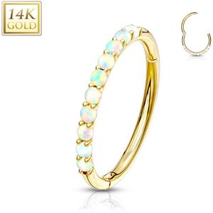 Witte opaaltjes op masssief gouden segment ring met vast segment - 10 mm - Geel Goud