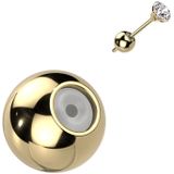 Titanium bal-vormige Oorbel Achterkantjes - Goud