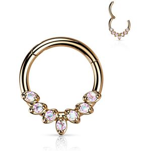 Stalen Segmentring met Zeven Front-facing Gekleurde Steentjes - Rosé Goud - 10 mm - Aurora Borealis