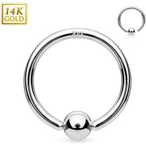 14K. wit gouden ball closure ring met vast balletje - 1 mm - 6 mm - 2 mm