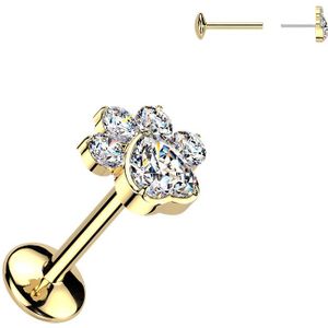 Threadless Titanium Labret met Pootafdruk Top en Hartjes Center - Goud - Helder