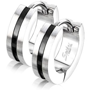 Paar geborsteld zilveren oorbellen met gekleurde streep – Zwart