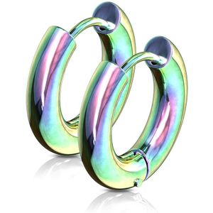Paar gekleurde oorbel ringen met makkelijke schaniersluiting – 16 – Regenboog